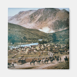 Cattle Ranch, Colorado, 1899 (foto) Magneet