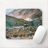 Cattle Ranch, Colorado, 1899 (foto) Muismat (Met muis)