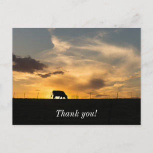 Cattle Sunset Silhouette Briefkaart