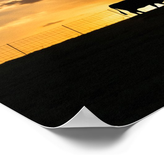 Cattle Sunset Silhouette Poster (Hoek)