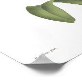 Cattleta trianae poster (Hoek)