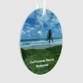 Cattlewash Beach, Barbade (devant)