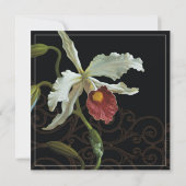 Cattleya Orchid Black Cream - Weddenschap Kaart (Achterkant)