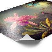 Cattleya Orchid en drie kolibries kop Foto Afdruk (Hoek)