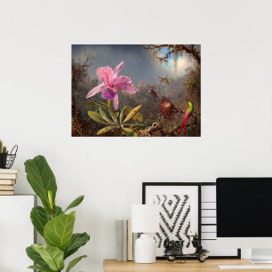 Cattleya Orchid en drie kolibries op kop Poster
