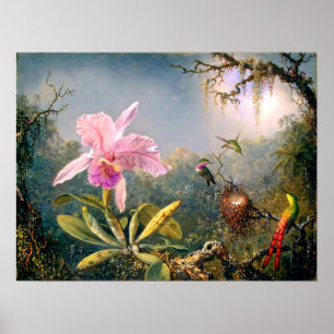 Cattleya Orchid en Three Hummingbird Poster