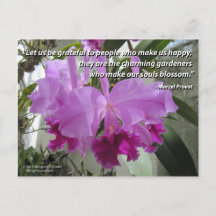 Cattleya Orchid Liefde en Vriendschap Briefkaart