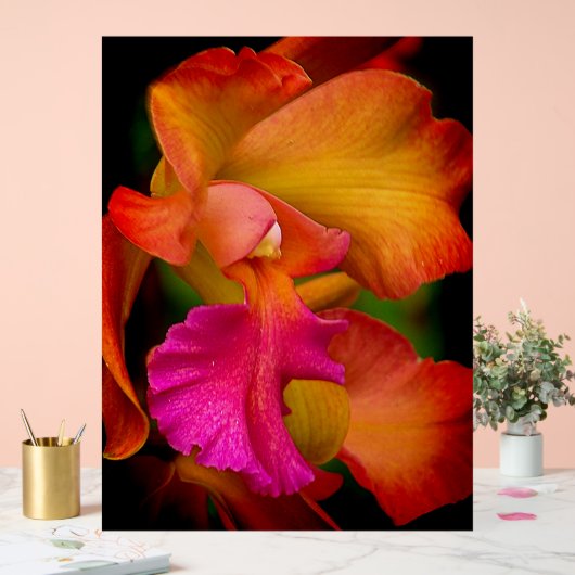Cattleya Orchid Portrait (Mariage)