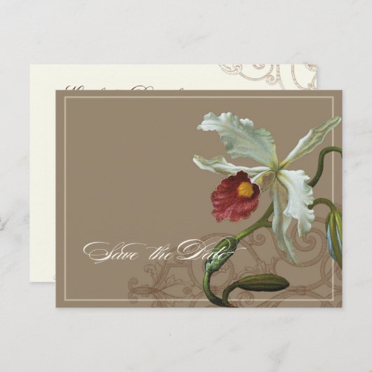 Cattleya Orchid Taupe - Enregistrer la date carte (Devant / Derrière)