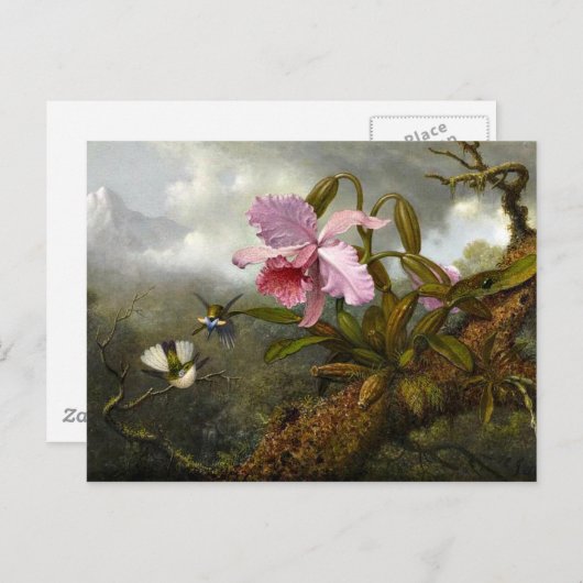 Cattleya Orchid, Two Hummingbird and a Beetle Briefkaart (Voorkant / Achterkant)