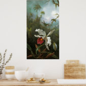 Cattleya Orchid Vintage Poster (Keuken)