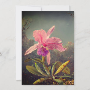 Cattleya Orchidee en Drie Kolibries Heade Kaart