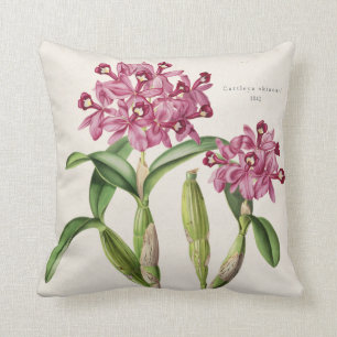 Cattleya skinneri Orchidee Botanisch 1842 door Bat Kussen