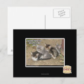 Caturday Conga Line Briefkaart (Voorkant / Achterkant)