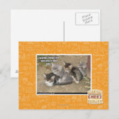 Caturday Conga Line Briefkaart (Voorkant / Achterkant)