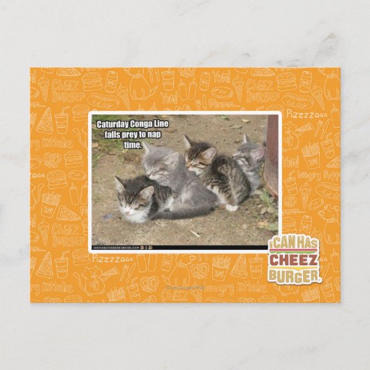 Caturday Conga Line Briefkaart (Voorkant)