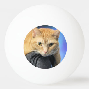 Caturday Pingpongballen