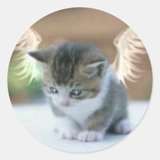 Catwing Sticker (Voorkant)