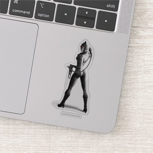 Catwoman met Whip Sticker (Detail)