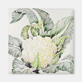 Cauliflower Study 1993 Magneet (Voorkant)