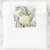 Cauliflower Study 1993 Vierkante Sticker (Tas)