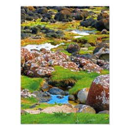 Causeway van Giant - Uitzicht 2 Foto Afdruk