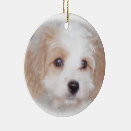 Cavachon Chase Ceramic Ornament (Rechts)