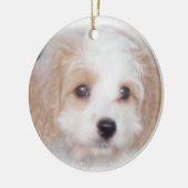 Cavachon Chase Ceramic Ornament (Links)