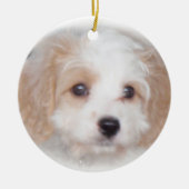 Cavachon Chase Ceramic Ornament (Voorkant)