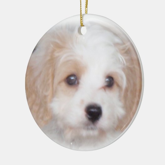 Cavachon Chase Ceramic Ornament (Links)