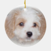 Cavachon Chase Ceramic Ornament (Achterkant)