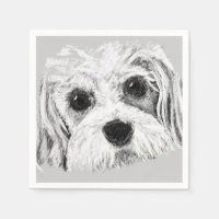 Cavachon hond, tekenen, schattig