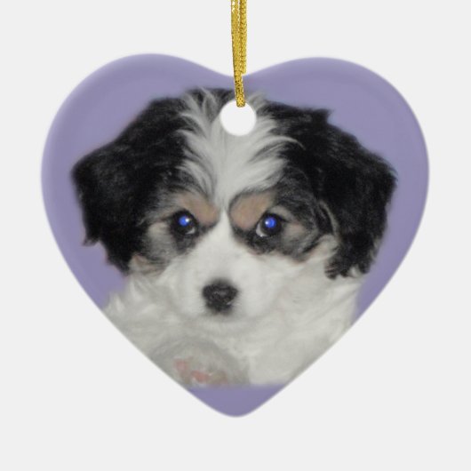 Cavachon Love Ceramic Ornament (Voorkant)