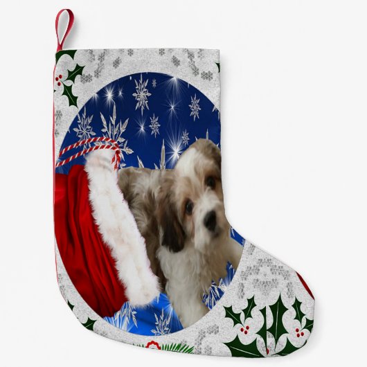 Cavachon Stocking, kersthond Kleine Kerstsok (Voorkant)