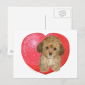 Cavachon-Valentijn Feestdagenkaart (Voorkant / Achterkant)