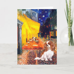 Cavalier 2 (Bl) - Terrace Cafe Kaart