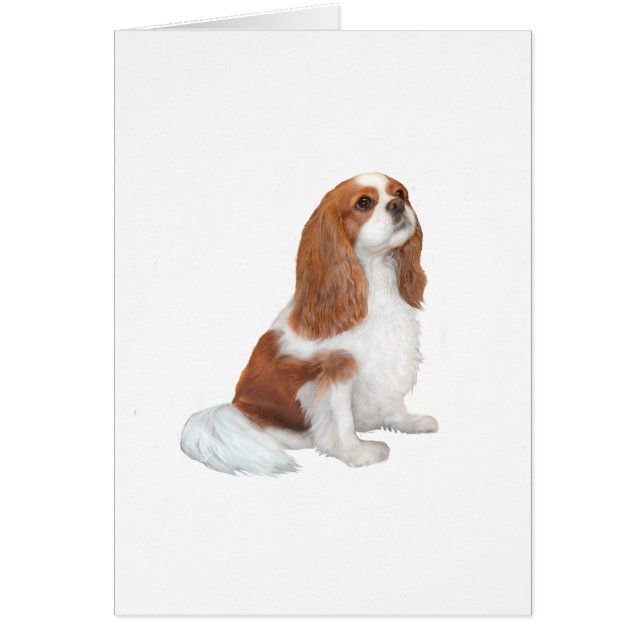 Cavalier A1 - Blenheim (F) (Devant)