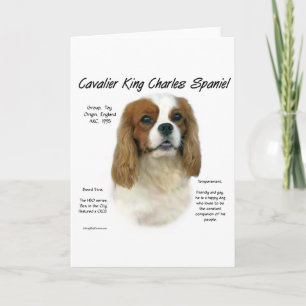 Cavalier als geen ander ras feestdagen kaart