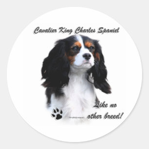 Cavalier als geen ander ras - Sticker