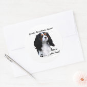 Cavalier als geen ander ras - Sticker (Envelop)
