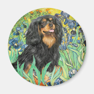 Cavalier (BT) - Irises Magneet