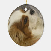 Cavalier Cocker Spaniel Ornament (Links)
