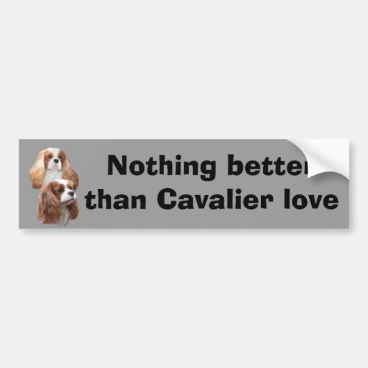 Cavalier Girls Bumpersticker (Voorkant)