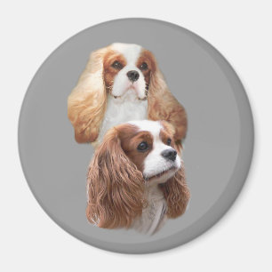 Cavalier  Girls Magnet Magneet