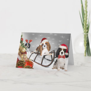 Cavalier hebben een vrolijke kerst Kaarten