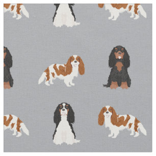 cavalier kc spaniel dogs grijs stof