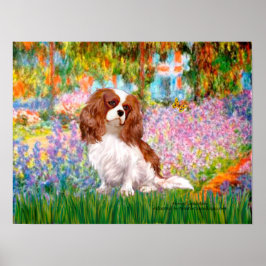 Cavalier King Charles (Blenheim) - Tuin Poster