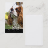 Cavalier King Charles Cartes de visite espagnols (Devant / Derrière)