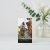 Cavalier King Charles Cartes de visite espagnols (Debout devant)