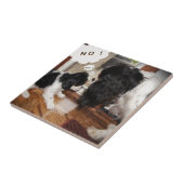 Cavalier King Charles Dad zegt nee Tegeltje (Zijkant)